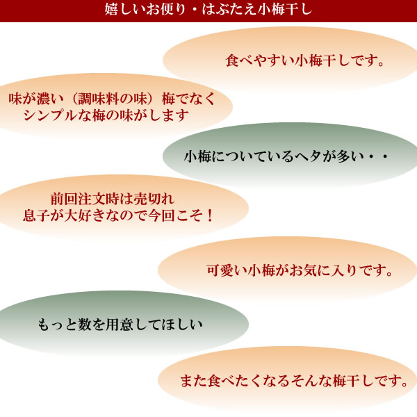 梅干し,梅,青梅,梅肉エキス,紀州南高梅干通販の専門店 はぶたえ小梅干し- 深見梅店 -